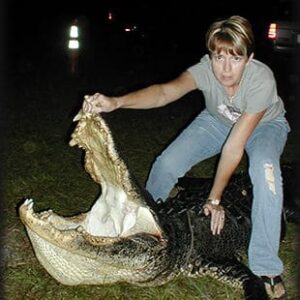 A big Florida alligator