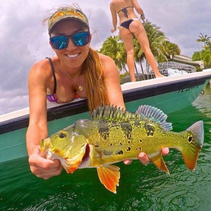 Florida-Peacock-Bass » Outdoors International If you want to catch Peacock bass, Florida is where it’s at!
