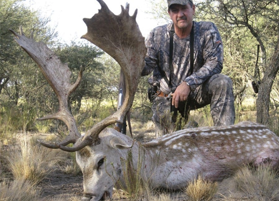 Gold Medal fallow buck from Argentina