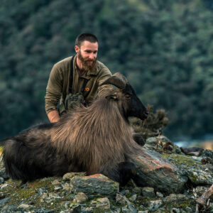 new zealand tahr and chamois hunting