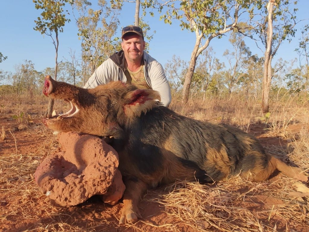 Wild boar hunts in Australia