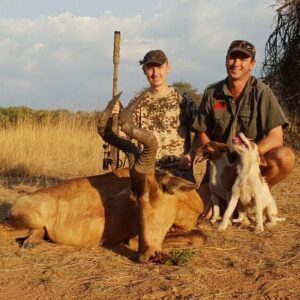 Red Hartebeest hunting in South Africa