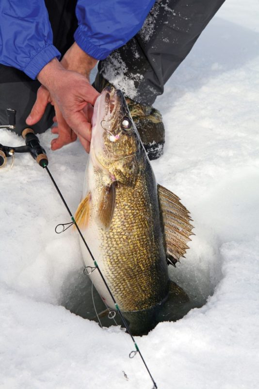 Ice-fishing-for-walleye-in-Nebraska » Outdoors International There are so many Ice-fishing hotspots in Nebraska that often, the most difficult part is deciding where to go.