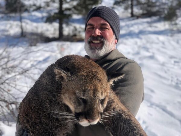 Spot and Stalk Mountain Lion Hunting