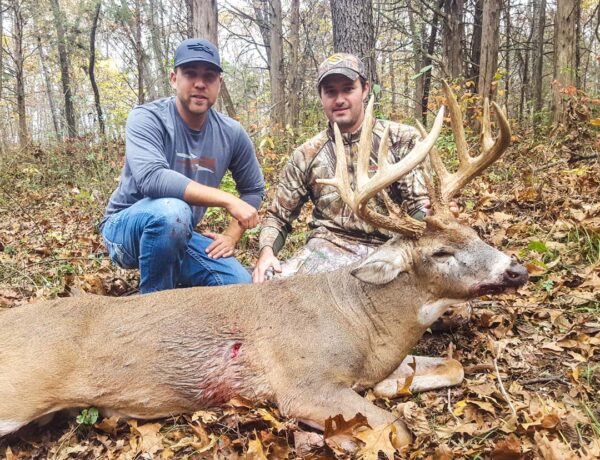 illinois whitetail hunts