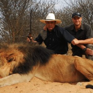 mozambique lion hunt with our Premier African PH