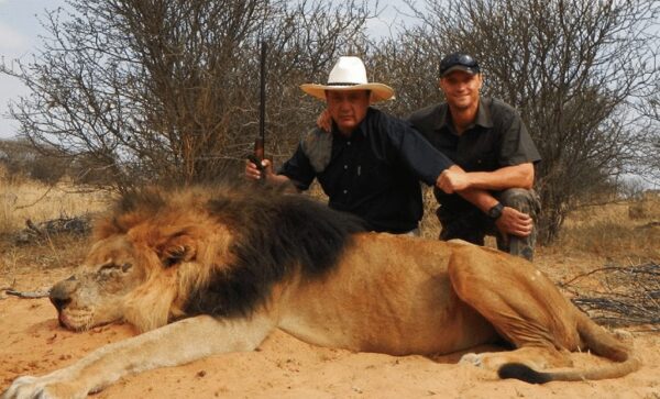 mozambique lion hunt with our Premier African PH