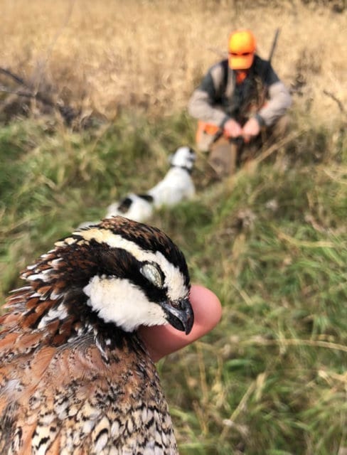 Nebraska has some incredible upland bird hunting.