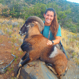 Mouflon Sheep Hunting in Hawaii Big Island