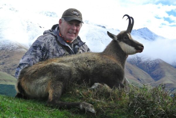 New Zealand Chamois Hunting Trips