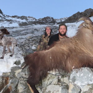 new zealand tahr hunting