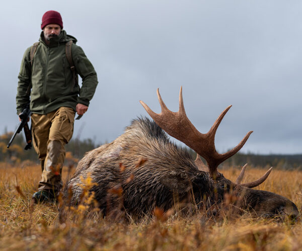 Moose hunting in Newfoundland