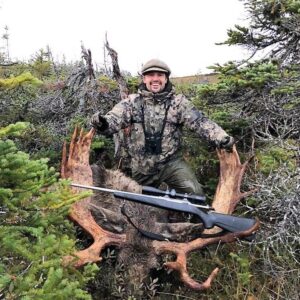 newfoundland moose hunt