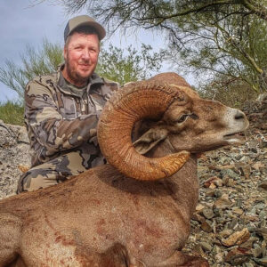 Desert Bighorn Sheep Hunt