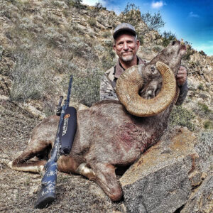 All of our rams get CITES permits and are importable into the U.S.