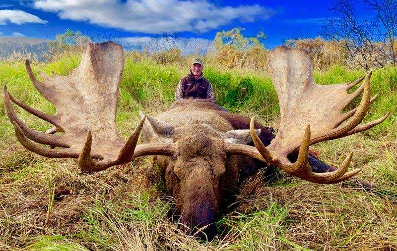 Incredible Alaskan Moose