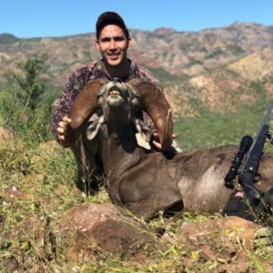 Desert Bighorn Sheep Hunts in Sonora Mexico
