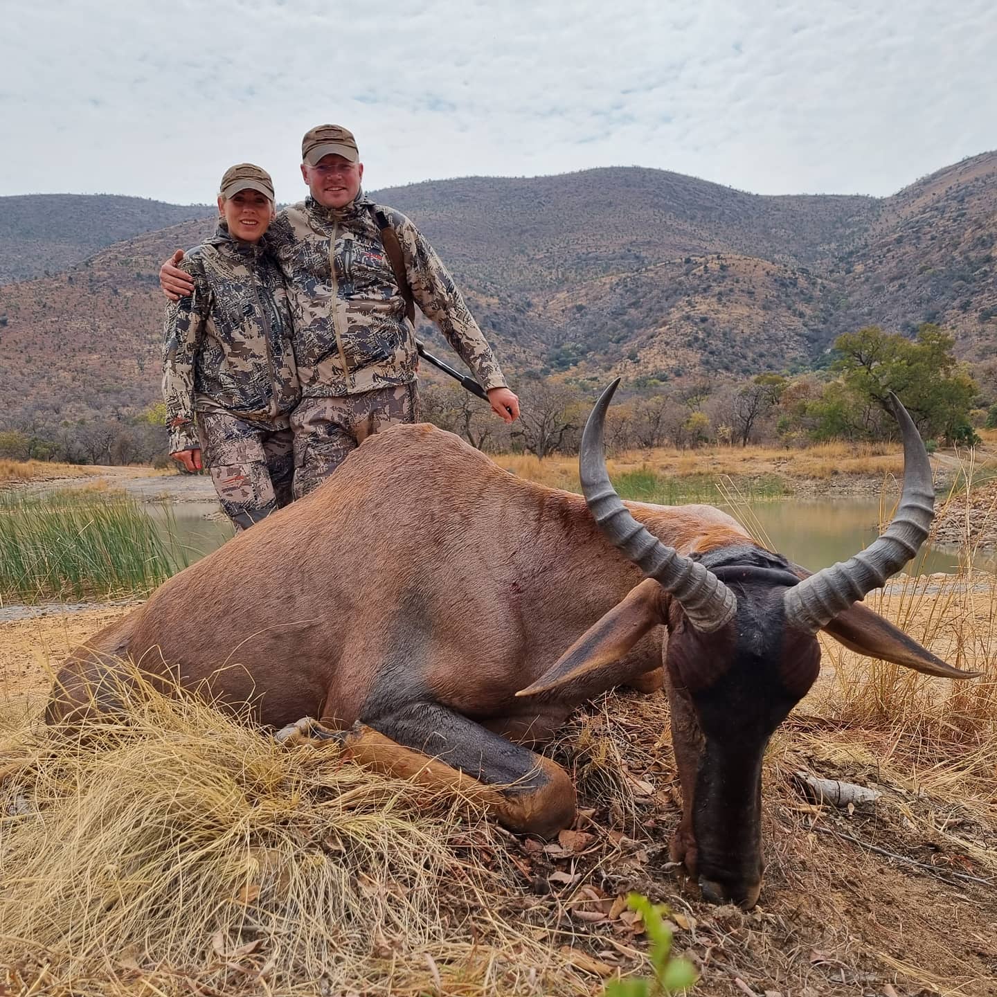 Tsessebe hunting in South Africa