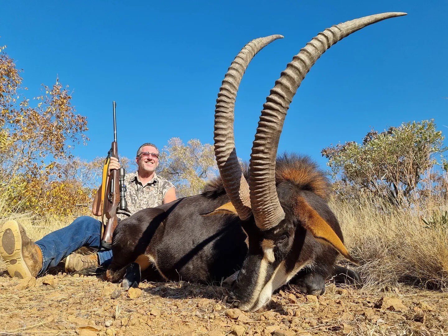 Sable hunting in South africa