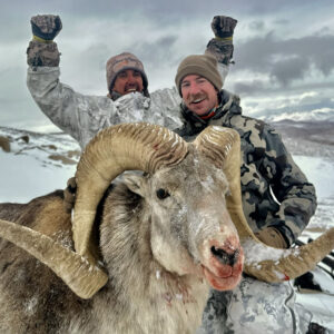 On our Tajikistan Marco Polo hunt, you have a realistic chance of taking a giant ram like this.