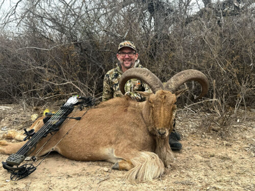 Gary Colbath with a great Texas aoudad he took with his bow.