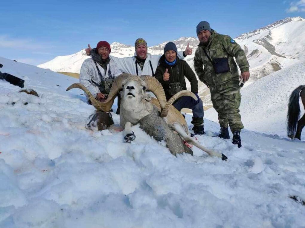 Trophy Marco Polo Hunting in Tajikistan