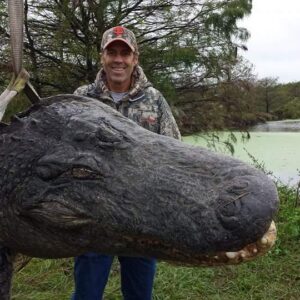Trophy florida alligator hunt