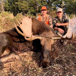 utah moose hunting