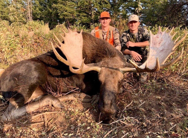 utah moose hunting