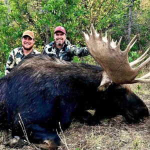 This is one of our best outfitters and his moose hunts are amazing.