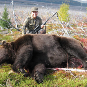 alaska grizzly bear hunt