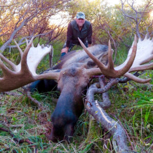 alaska trophy moose hunt