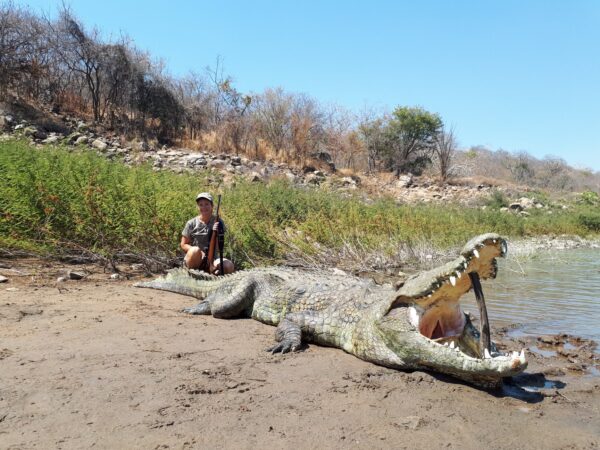 mozambique crocodile hunting