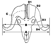 How to score a muskox