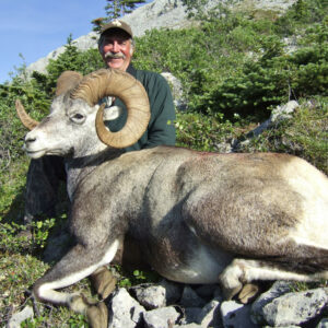 Stone Sheep Hunt in BC » Outdoors International