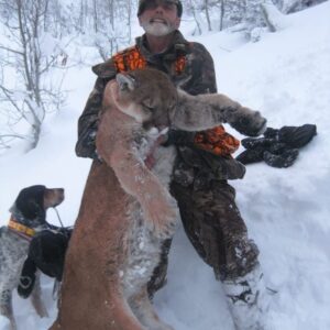 Wyoming mountain lion hunting