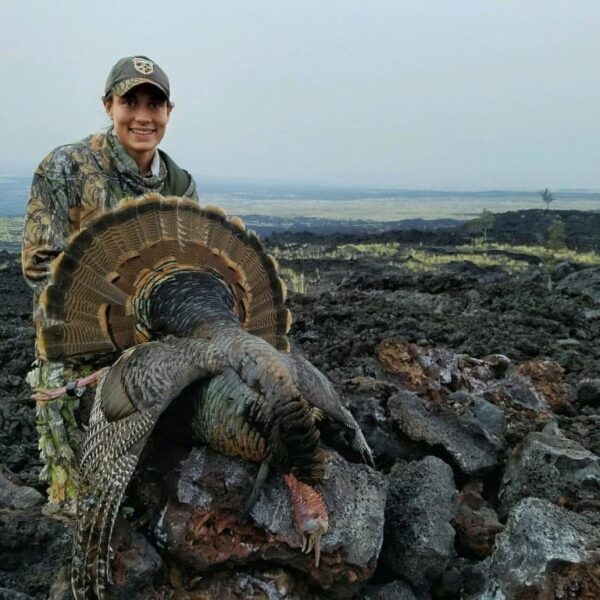 To turkey hunt Hawaii is to experience a unique hunt in the tropical forests, plains, and mountains that most people visiting the islands will never experience.