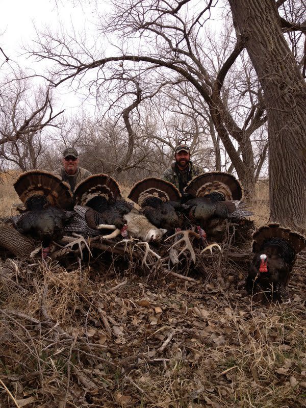 Kansas just might be one of the best turkey hunting states in the country right now.