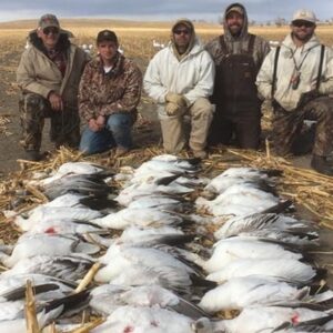 Snow goose hunting