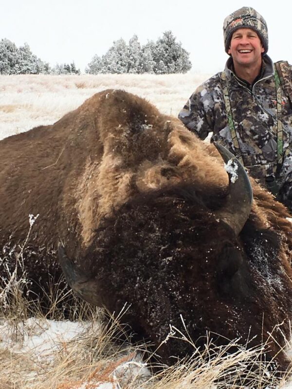 south dakota bison hunt