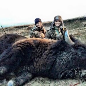 Bison hunting in South Dakota