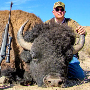 Texas Bison Hunts