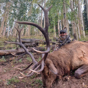Archery Elk Hunt in Utah
