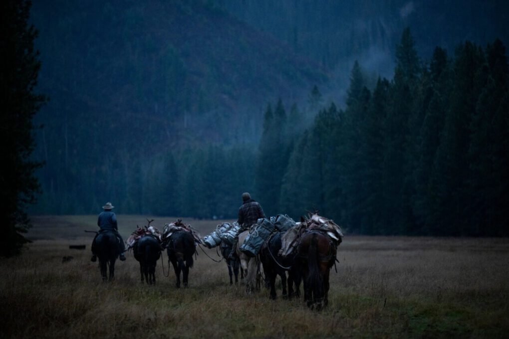 Idaho-Horse-Mule-Pack-String-Selway-Wilderness-Elk-Deer-MCO-1270x847 » Outdoors International Idaho mule deer hunting trips in the Selway wilderness