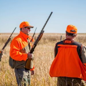 Upland Bird Hunts