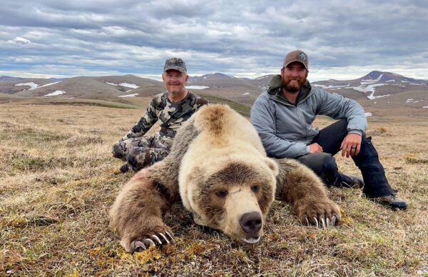 Premier Alaska Grizzly Bear Hunt