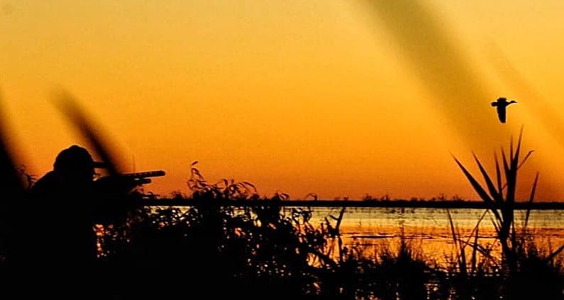 Duck Hunting Argentina » Outdoors International Duck Hunting Argentina