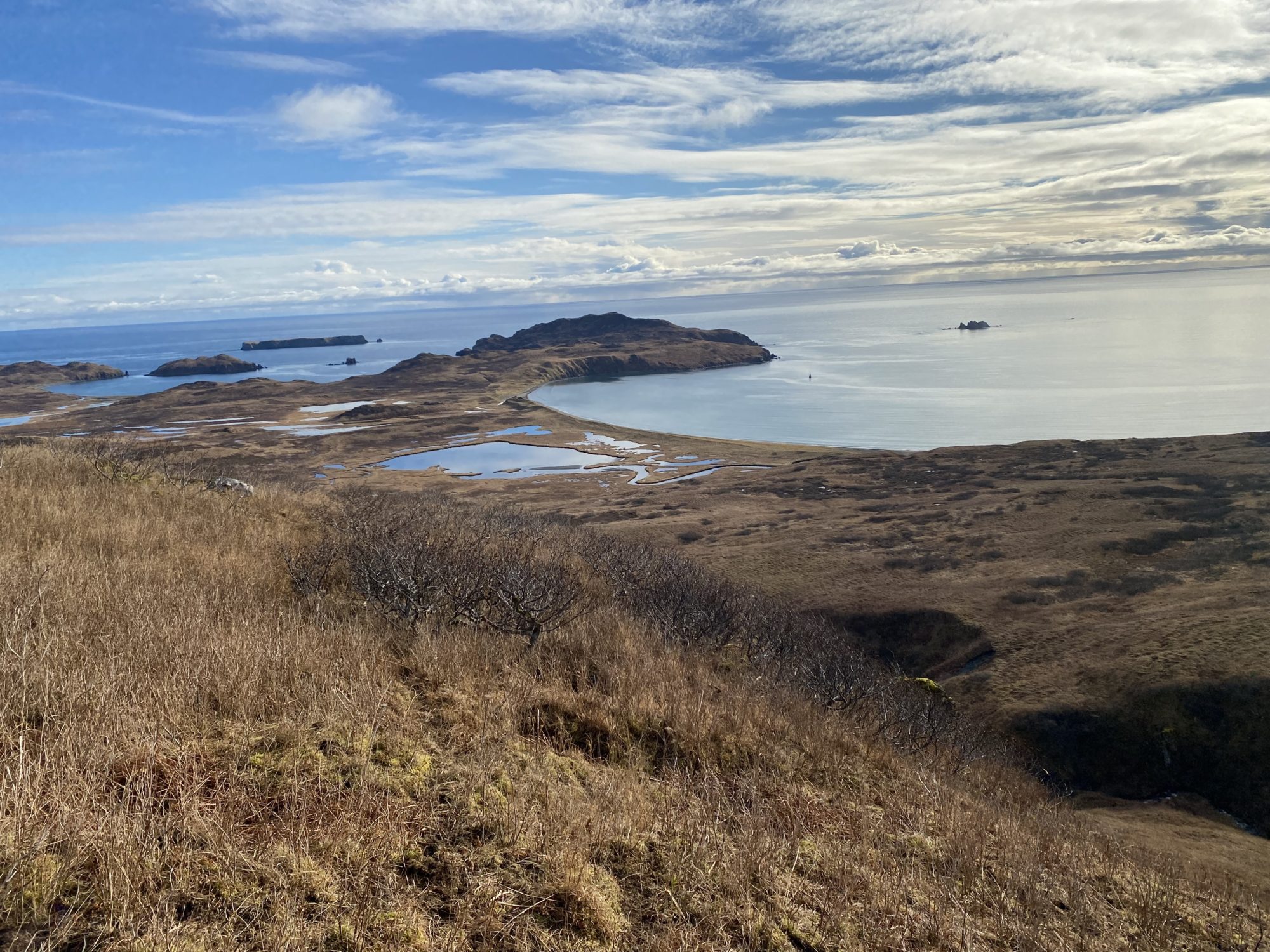 DIY Sitka blacktail hunt on Kodiak Island