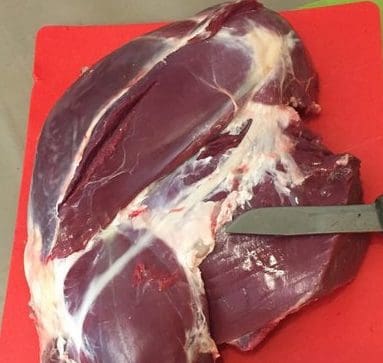 Remove the hind leg gland from the bottom round » Outdoors International The gland can be seen at the point of the knife.