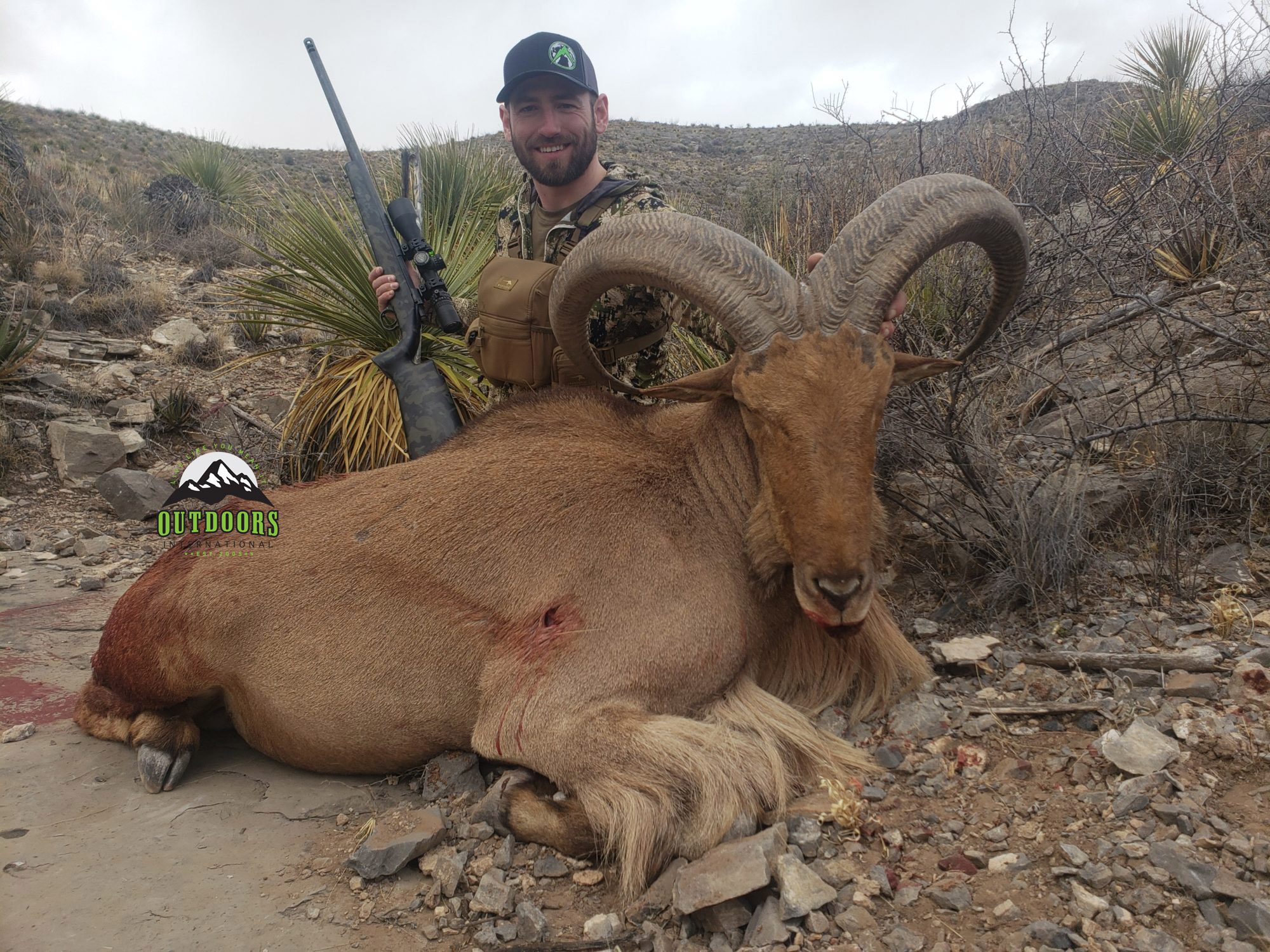 I took a heavy horned old ram on the first day on my longest shot to date.
